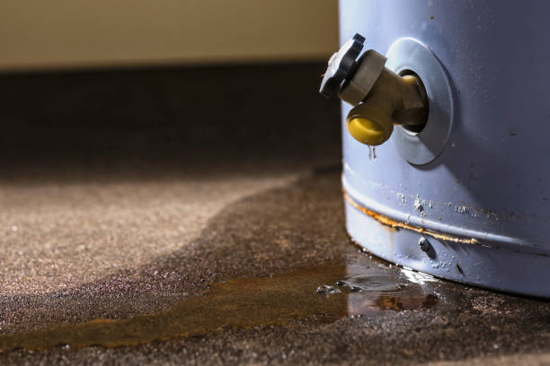 Carpet water damage restoration in AR