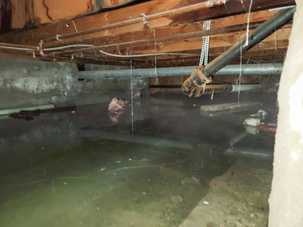 Carpet water damage restoration in AR
