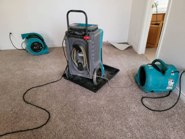 Best Water damage contractors near me  in Gassville, AR