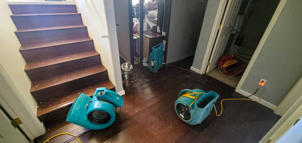 Trusted AR Water damage restoration Experts