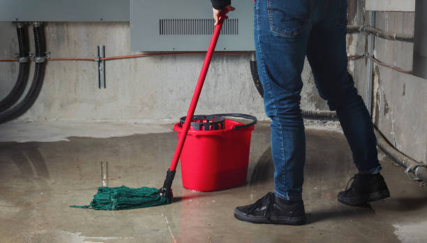 Best Water damage restoration near me  in Gassville, AR