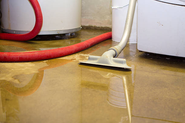 Best Water damage contractors near me  in Gassville, AR
