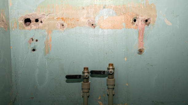 Best Flood restoration services  in Gassville, AR