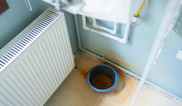 Best Sewage cleanup and water damage restoration  in Gassville, AR