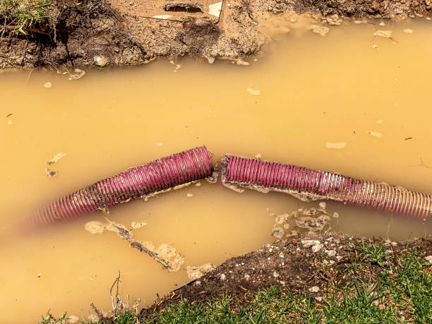 Best Water damage cleanup near me  in Gassville, AR