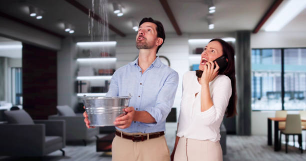 Best Carpet water damage restoration  in Gassville, AR